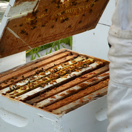Bee Keeping SuppliesBee keeping supplies