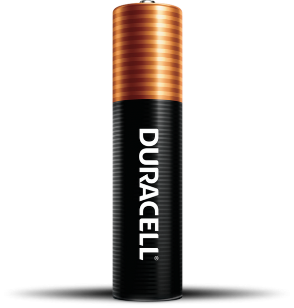 Duracell Coppertop AAA Alkaline Batteries (AAA 4 Pk)