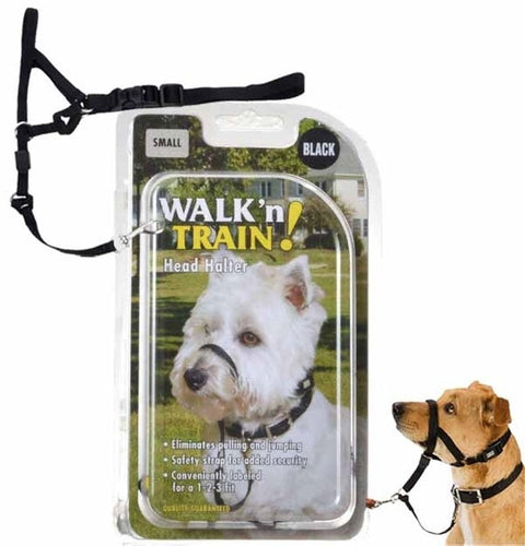 Coastal Walk n Train Head Halter Black (Large)