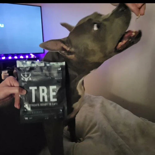 Operation Good Boy TRE: Stars & Strips Jerky Strips Beef Dog Treats