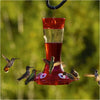 More Birds® Bird Health Natural Red Powder Concentrate Hummingbird Nectar