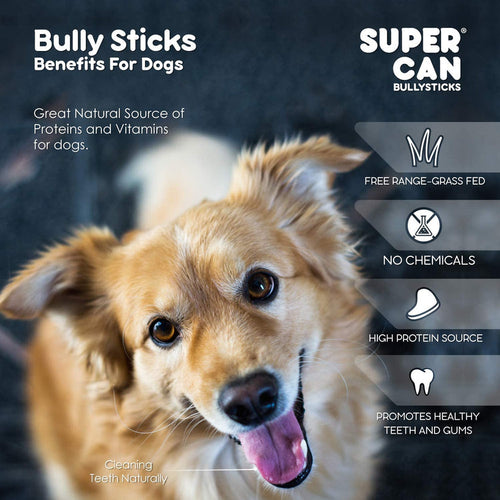 Supercan 12 Standard Bully Sticks (12)