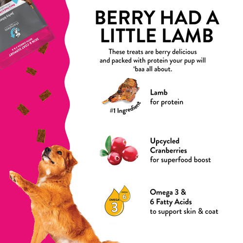 Shameless Pets Berry Had a Little Lamb Jerky Bites for Dogs