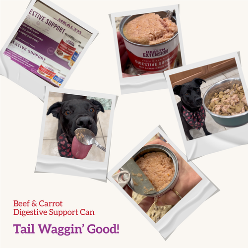 Health Extension Digestive Support, Beef & Carrot Entree in Gravy Dog Food