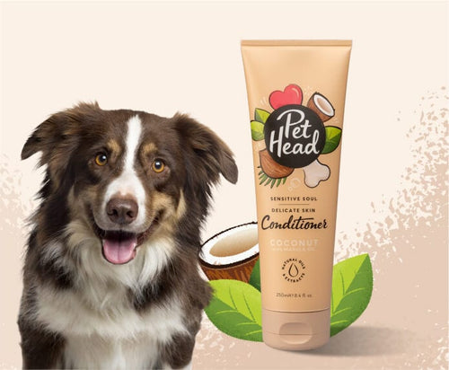 Pet Head Sensitive Soul Sensitive Skin Conditioner for Dogs (8.4 oz)