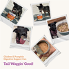 Health Extension Digestive Support, Chicken & Pumpkin Entree in Gravy Dog Food