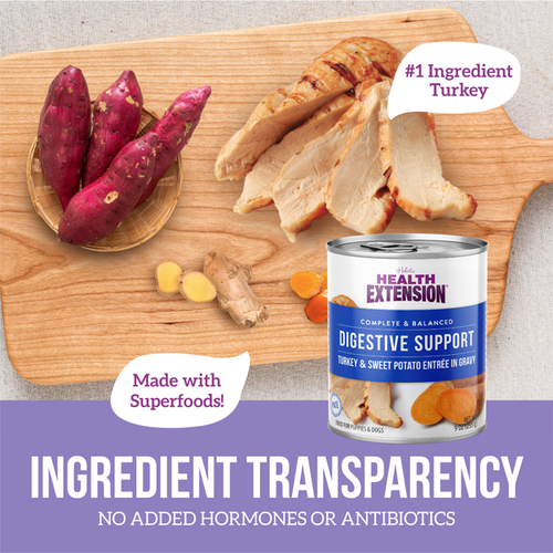 Health Extension Digestive Support, Turkey & Sweet Potato Entree in Gravy Dog Food