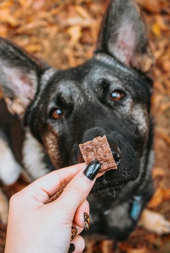 Operation Good Boy TRE: Freedom Treats Beef Jerky Dog Treats