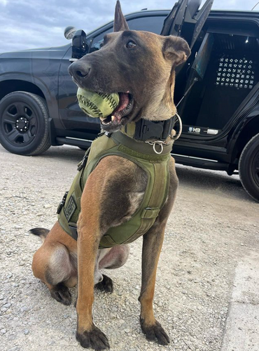 Operation Good Boy The Bazooka Ball Rubber Dog Chew Toy