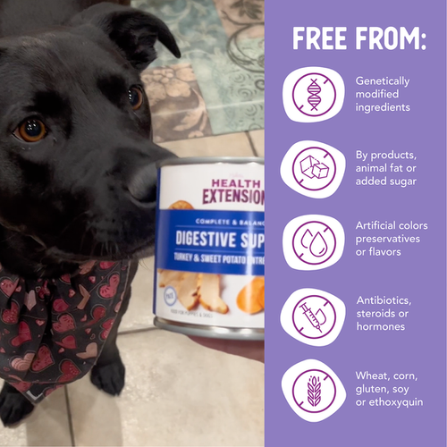 Health Extension Digestive Support, Turkey & Sweet Potato Entree in Gravy Dog Food