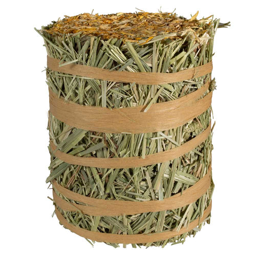 Kaytee Mini Hay Bale Marigold