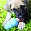 KONG Ziggies™ Puppy (Small)