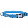 Coastal Pet Products K9 Explorer Brights Reflective Adjustable Dog Collar (1 x 18”-26”, Lake)