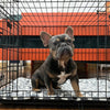 Territory Crate Mat for Dogs