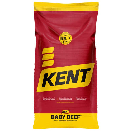 Kent 34% Baby Beef