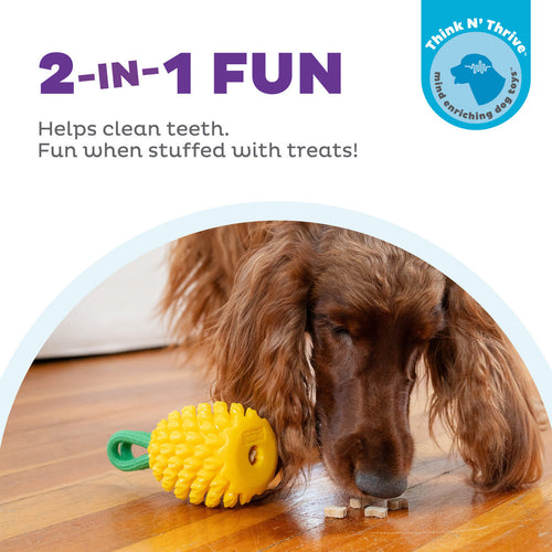 Outward Hound Dental Pineapple Dental Chew Toy and Interactive Treat Stuffer for Dogs