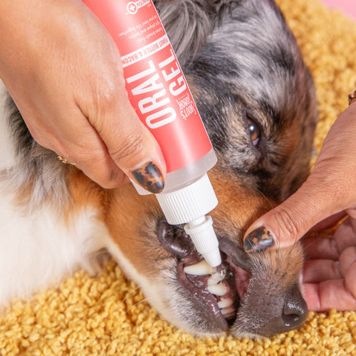 Skout's Honor Oral Care Oral Gel - Peanut Butter & Bacon Flavor