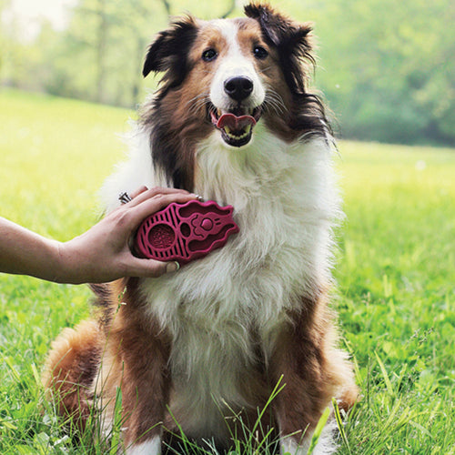KONG ZoomGroom™ Raspberry Dog Grooming Brush