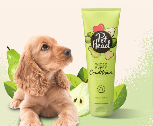 Pet Head Mucky Pup Puppy Conditioner for Dogs