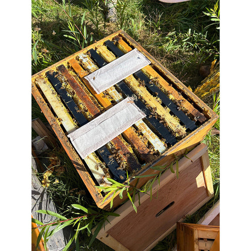 Mann Lake Bee Formic Pro - Varroa Treatment