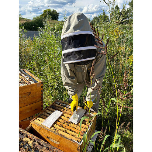 Mann Lake Bee Formic Pro - Varroa Treatment