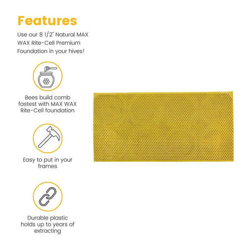 Mann Lake Bee Natural Max Wax Rite-Cell Premium Foundation