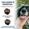 Under the Weather Collagen Chews for Dogs