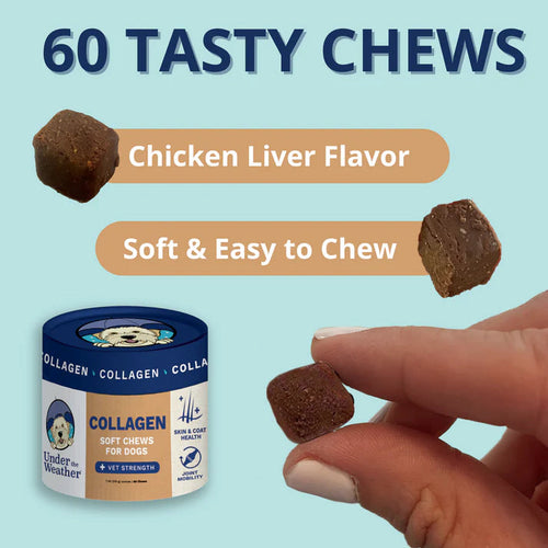Under the Weather Collagen Chews for Dogs