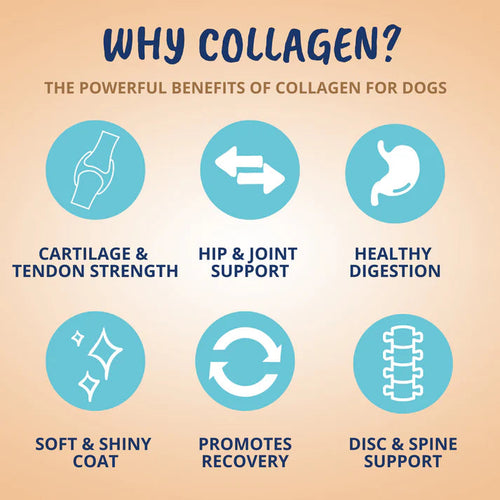 Under the Weather Collagen Chews for Dogs