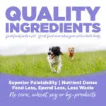 NutriSource® Puppy Chicken Meal & Barley Recipe Healthy Affordable Puppy Dry Food