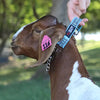 Sullivan Supply Free Spirit Leads-