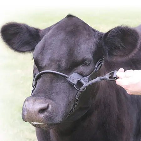 Sullivan Supply 1st-Class Show Halter