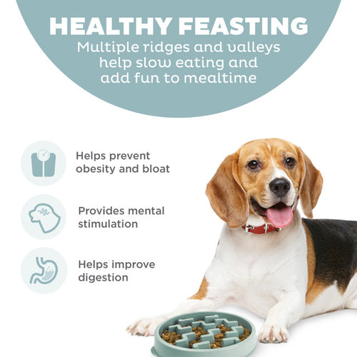 Outward Hound Fun Feeder Notch Sge MD