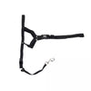 Coastal Pet Walk 'n Train! Dog Head Halter