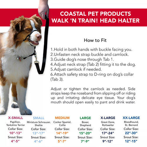 Coastal Pet Walk 'n Train! Dog Head Halter