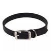 Coastal Pet Products Circle T Oak Tanned Leather Town Dog Collar