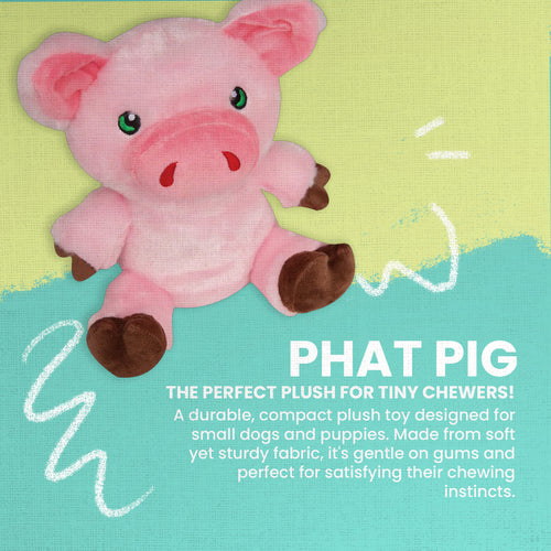 Snugarooz Phat Pig Dog Toy