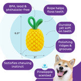 Outward Hound Dental Pineapple Dental Chew Toy and Interactive Treat Stuffer for Dogs