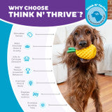 Outward Hound Dental Pineapple Dental Chew Toy and Interactive Treat Stuffer for Dogs