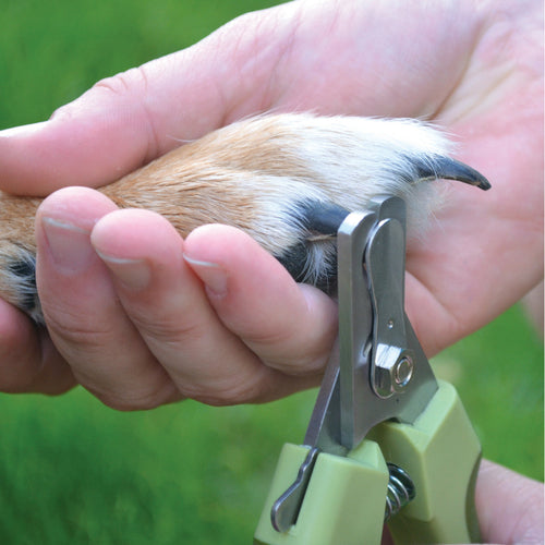 Coastal Pet Products Safari Professional Dog Nail Trimmer (Large)