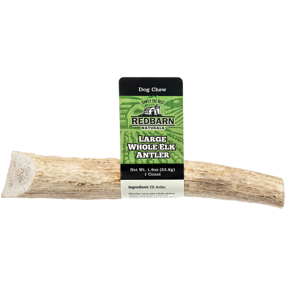 Redbarn Large Whole Elk Antler (Large)