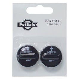 Lithium Batteries, 2-Pk., 6-Volt