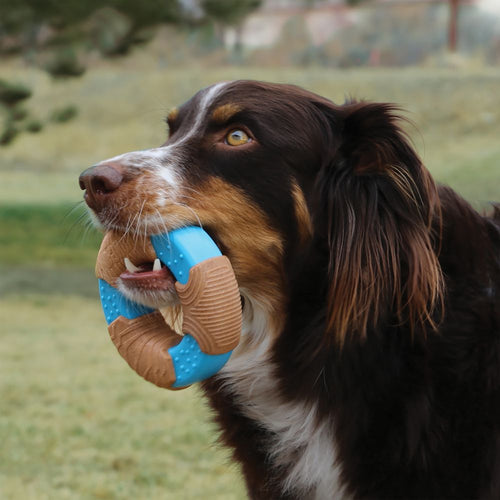 KONG CoreStrength™ Bamboo Bone