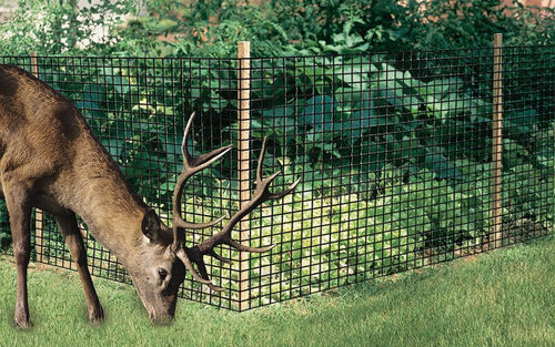 Dalen Deer-X Landscaping Protective Netting (7' x 100')