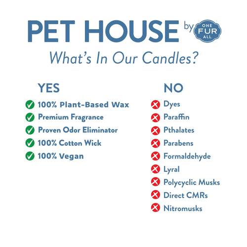 Pet House Snow Cone Candle (9 oz)