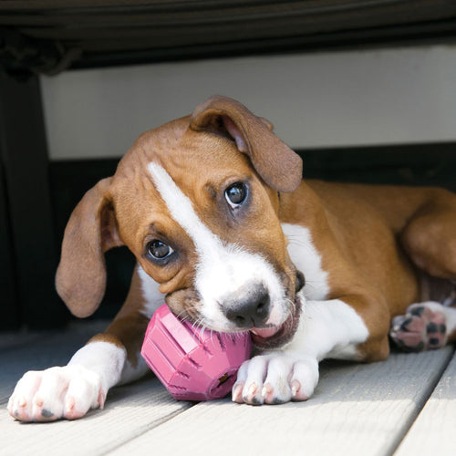 Kong Puppy Activity Ball™