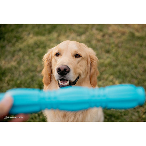 Coastal Pet Products ProFit Foam Toy Stick (Blue Lagoon, 11.5)