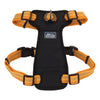 Coastal K9 Explorer Brights Reflective Front-Connect Harness