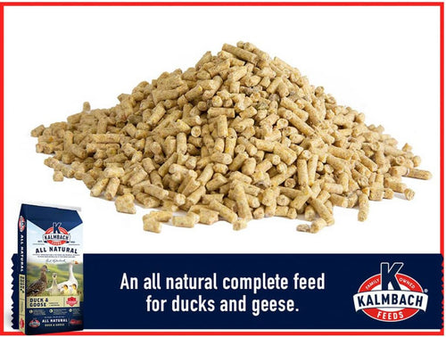 Kalmbach Duck, Goose & Swan Feed