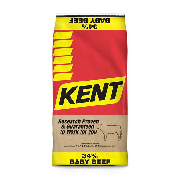 Kent 34% Baby Beef (50-lb)